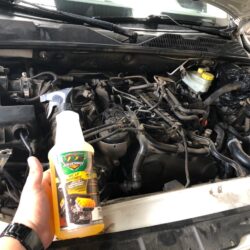 WhatsApp Image 2023-06-14 at 12.10.02 PM (3)